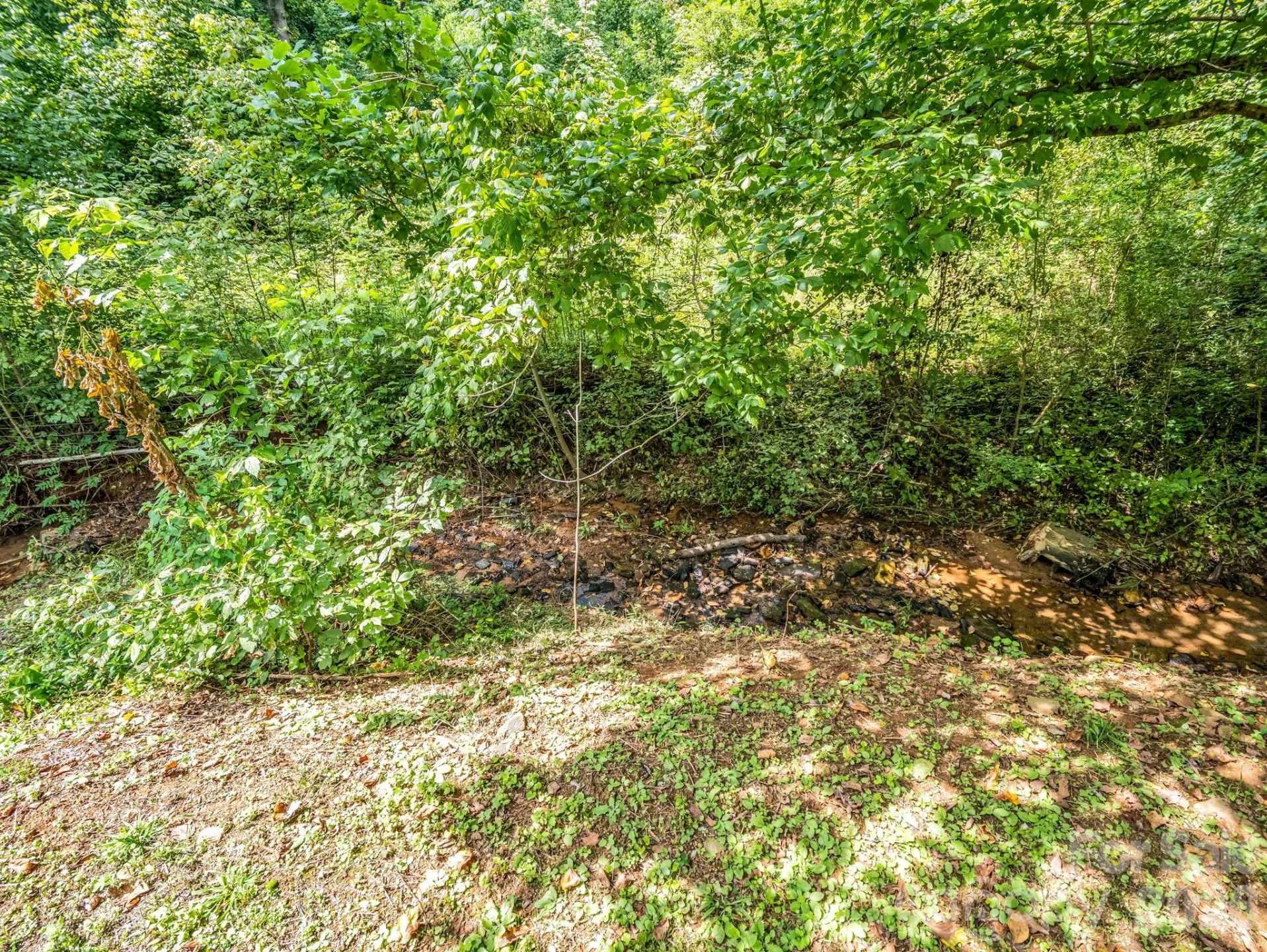 2957 NC Highway 226 Highway - Photo 11