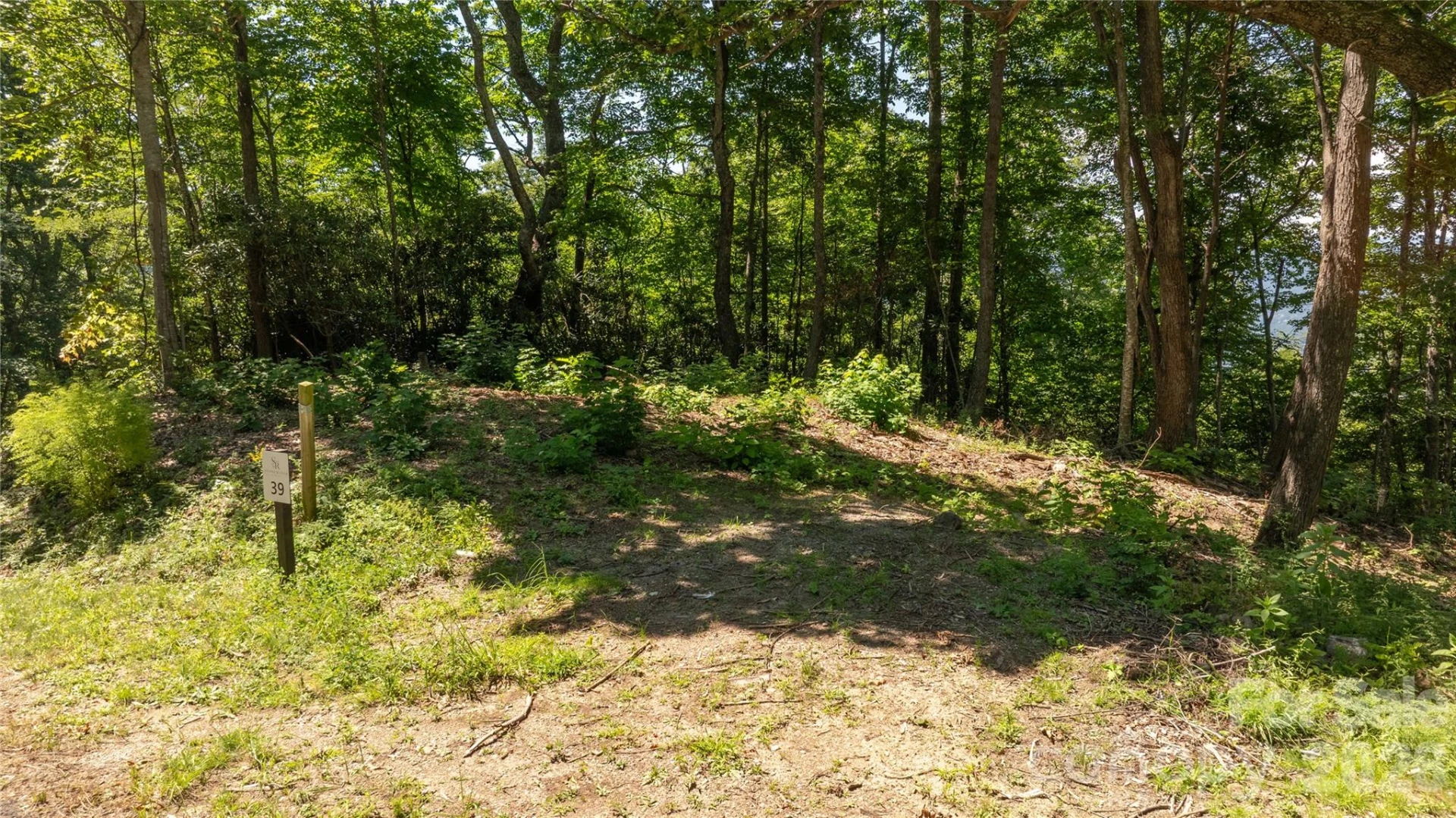 19 Estate Drive #39 - Photo 13