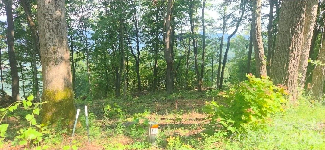 19 Estate Drive #39 - Photo 26