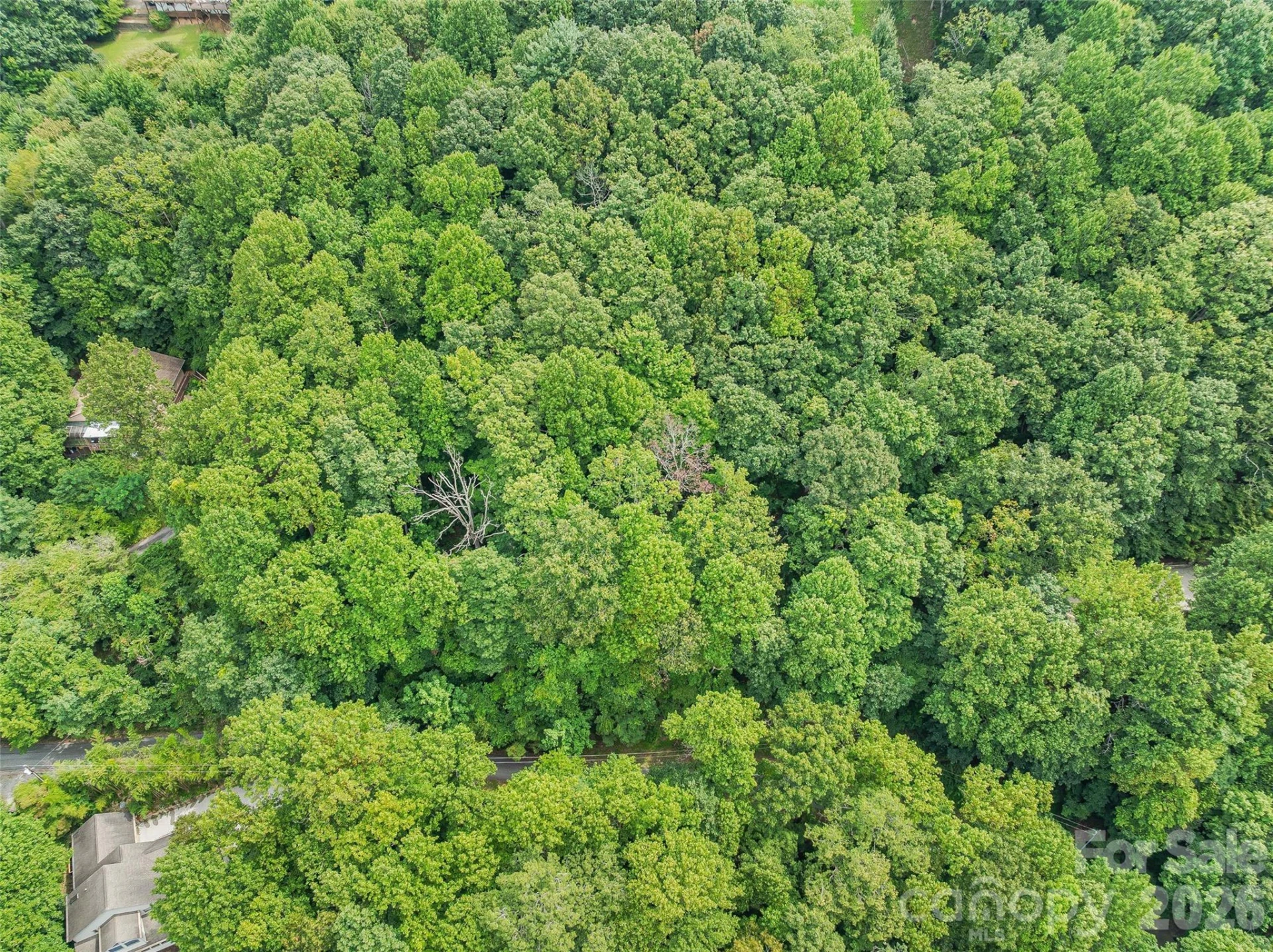 1.54 Acres Breezeway Drive - Photo 8