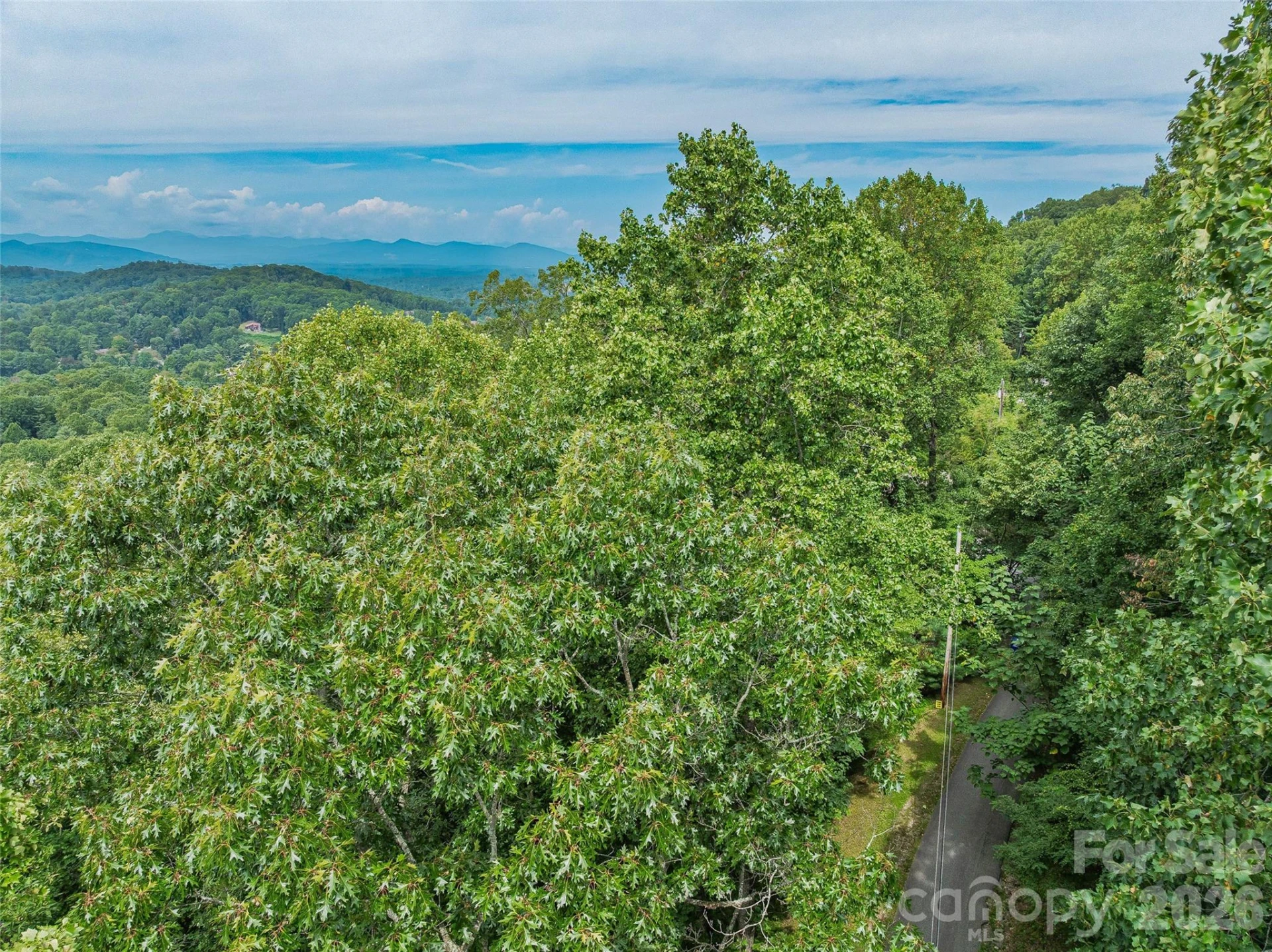 1.54 Acres Breezeway Drive - Photo 12