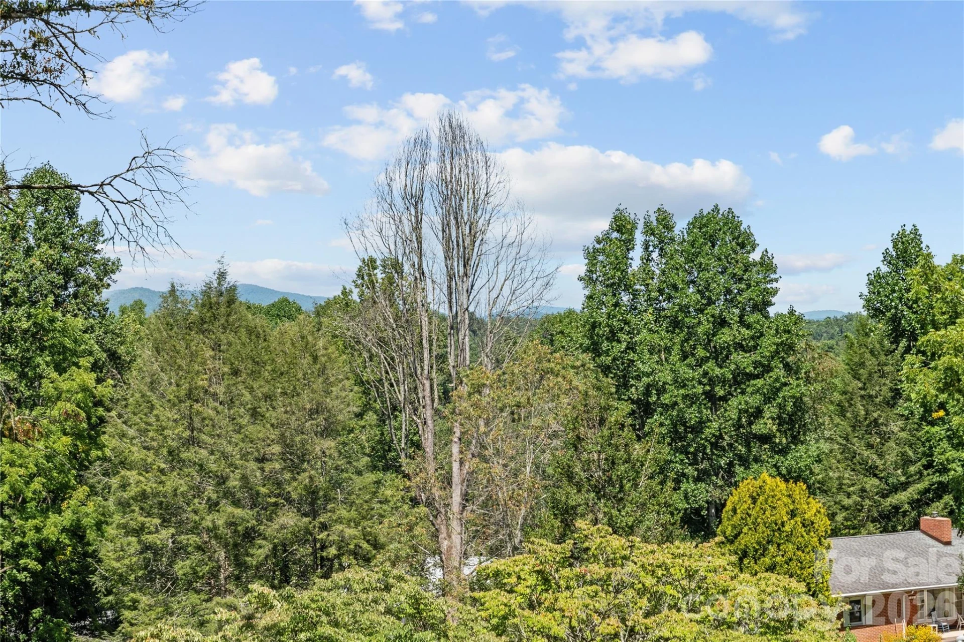 106 Holly Lane - Photo 27