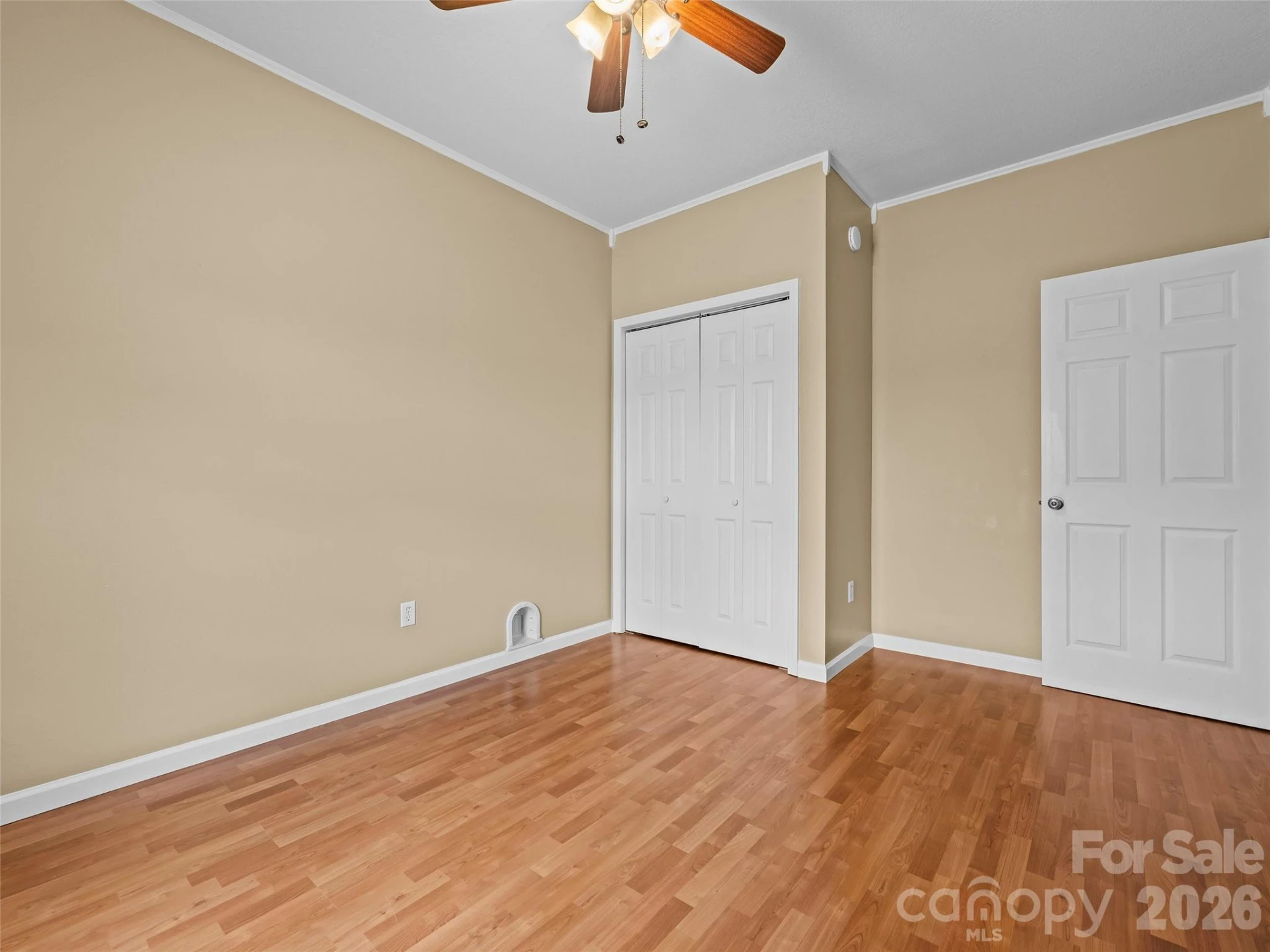 43 Avery Street - Photo 18
