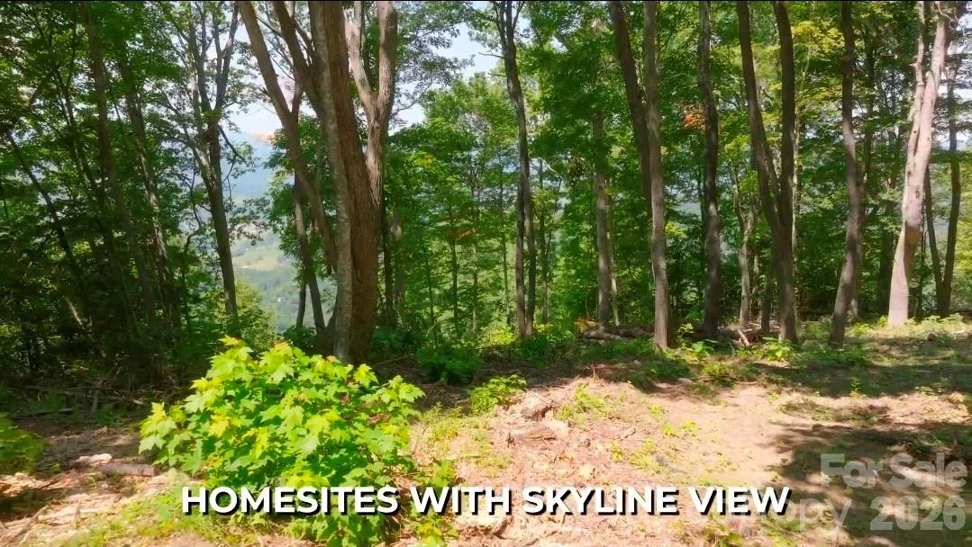 19 Estate Drive #21 - Photo 10