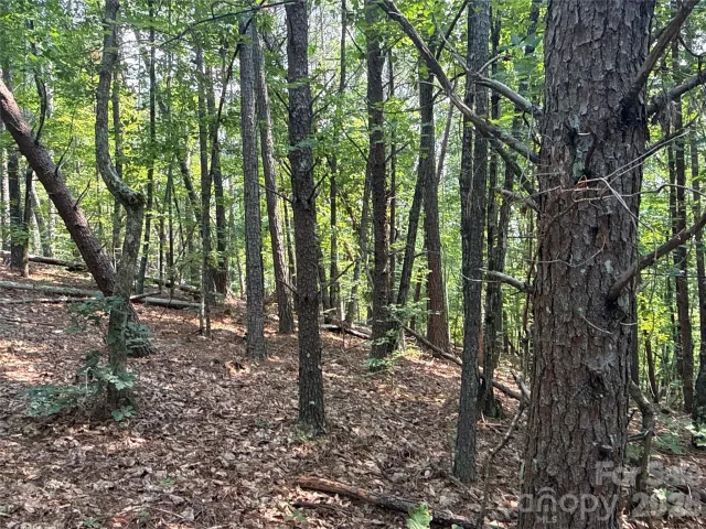 242 Golden Creek Ridge