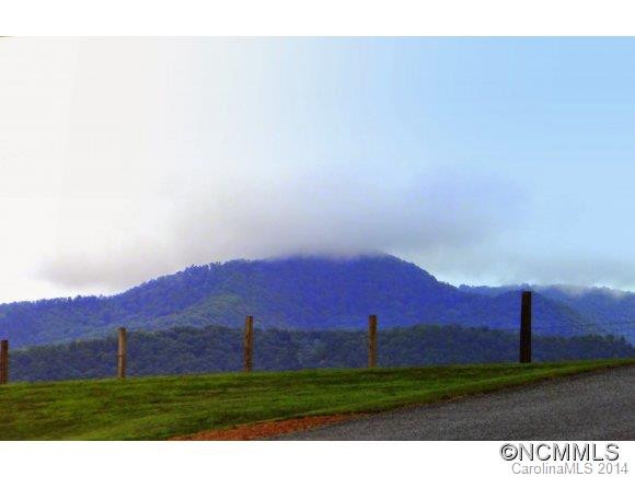 11 Mountain Pasture Lane - Photo 3
