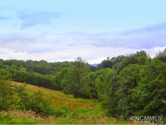 11 Mountain Pasture Lane - Photo 22
