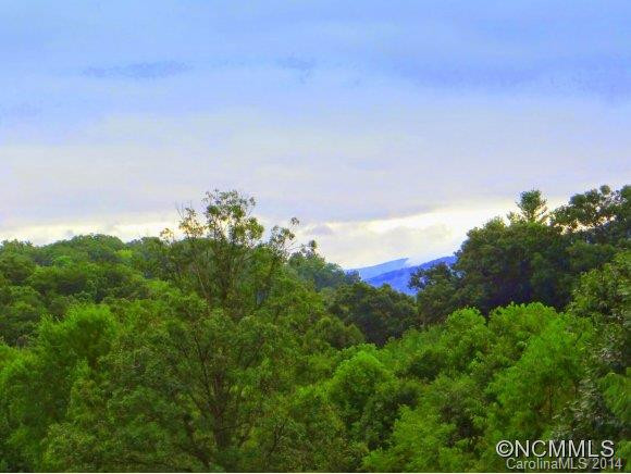 11 Mountain Pasture Lane - Photo 4