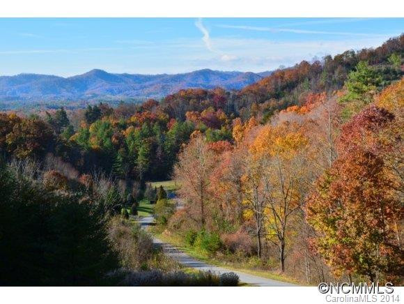 628 Cove Creek Ln - Photo 2