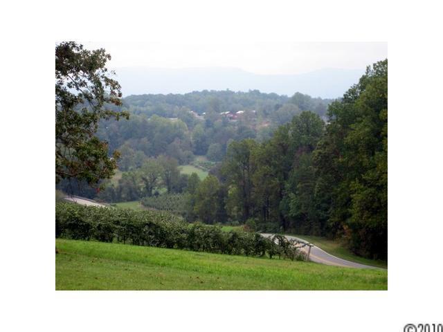 5000 Patton Road - Photo 4