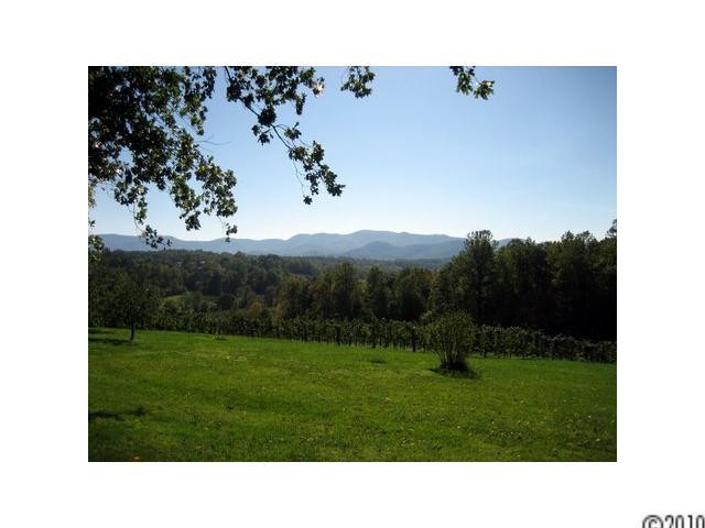 5000 Patton Road - Photo 5