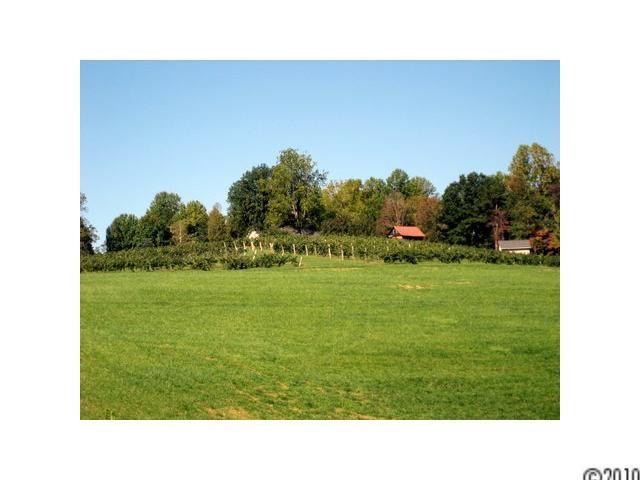5000 Patton Road - Photo 7