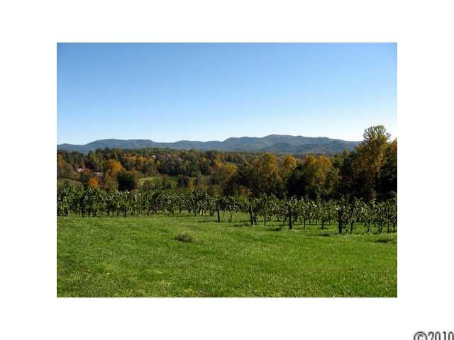 5000 Patton Road - Photo 8