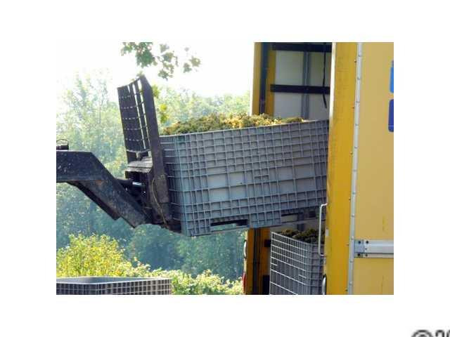5000 Patton Road - Photo 10