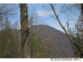 313 Driftwood Loop - Photo 2