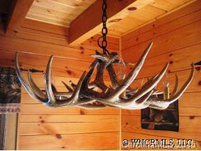 313 Driftwood Loop - Photo 8