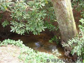159 Black Bear Lane - Photo 7