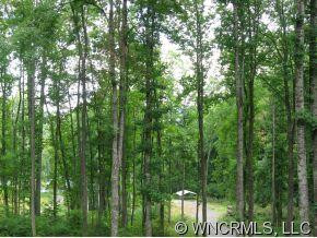 278 Mellow Springs Road - Photo 9