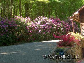 1076 Chambers Cove Road - Photo 2