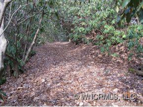 554 Pisgah Forest Drive - Photo 19