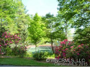 TS #4 Cold Mountain Road - Photo 13