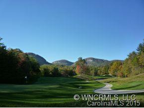 TS #4 Cold Mountain Road - Photo 16
