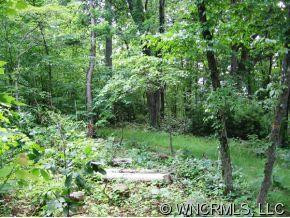 440 HOLSTON VILLAGE ROAD - Photo 3