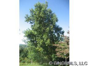 120 Chipmunk Trail - Photo 4