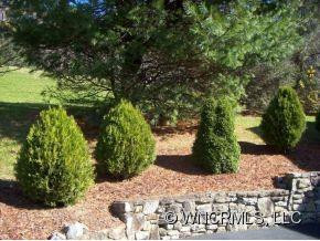206 Hawthorn Drive - Photo 18