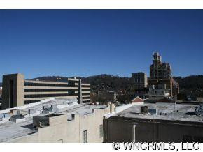 12 South Lexington Avenue, #200 - Photo 9