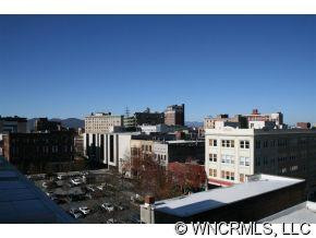 12 South Lexington Avenue, #200 - Photo 10