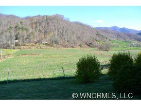 2868 Max Patch Road - Photo 19