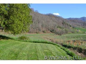 2868 Max Patch Road - Photo 20