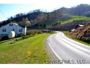 2868 Max Patch Road - Photo 3