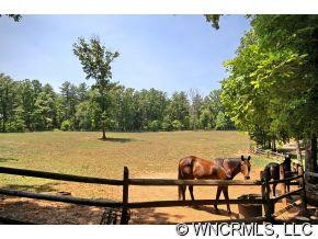 1184 Hunting Country Road - Photo 12