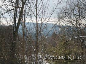 6 WILD IVY RUN - Photo 20
