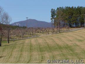 1279 Grassy Knob - Photo 3
