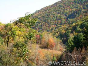3303 Meadow Fork Road - Photo 8