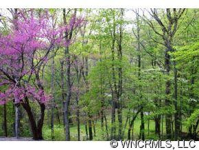206 Woodland Drive - Photo 11