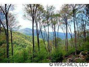 1286 Tawodi Trail - Photo 2