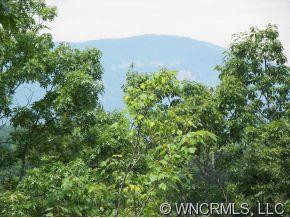 296 Sparrow's Way - Photo 3