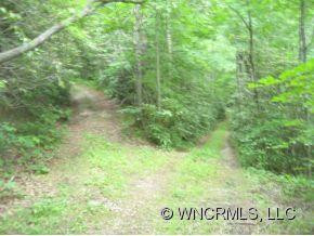98 Bailey Ridge Road - Photo 4