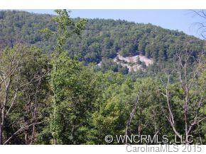 763 Peartree Drive(view/waterfall) - Photo 2