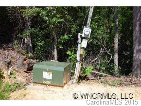763 Peartree Drive(view/waterfall) - Photo 6