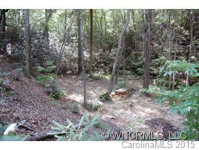 763 Peartree Drive(view/waterfall) - Photo 7