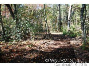 536 Summerfield Pl - Lot 101 - Photo 12