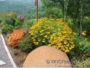 515 Sunset Mountain Road - Photo 9