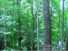 374 FLAME AZALEA - Photo 11