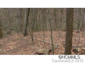 374 FLAME AZALEA - Photo 17
