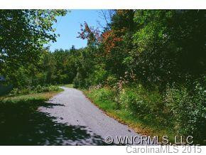 49 Bird Creek Estates Road - Photo 6
